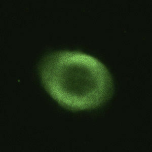 M57 �_�f