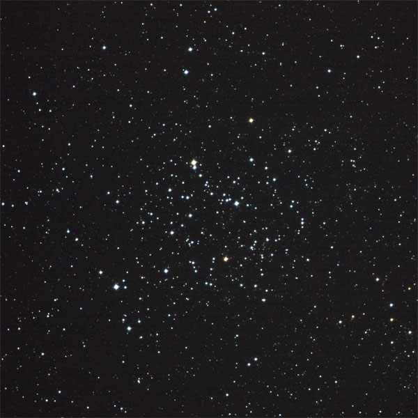 散開星団M35の写真