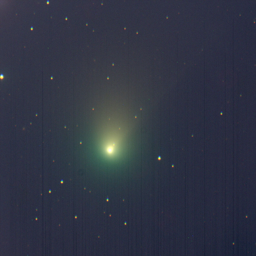 ZTF彗星の写真