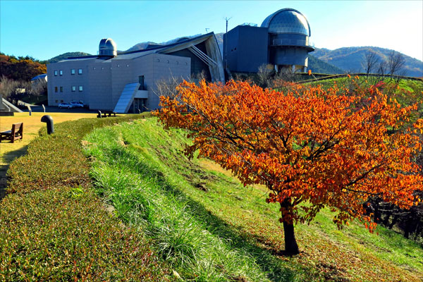 main building and domes (autumn)