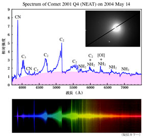 Spectrum of comet NEAT