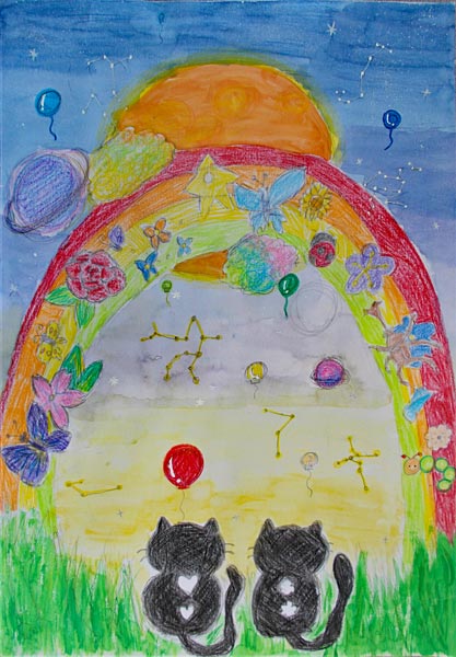ねこと星空