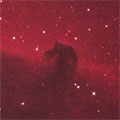 馬頭星雲IC434の写真