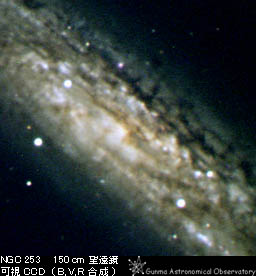 可視カメラで撮影した銀河 NGC 253
