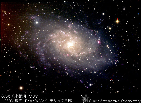 さんかく座銀河 ( M33 ) の写真