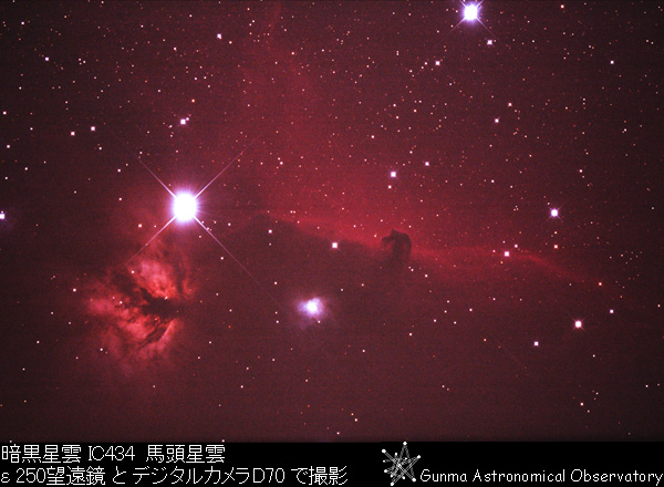 馬頭星雲とその周辺の写真