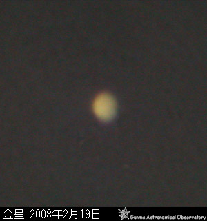 金星の形 2008年2月19日