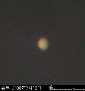 金星の形 2008年2月19日