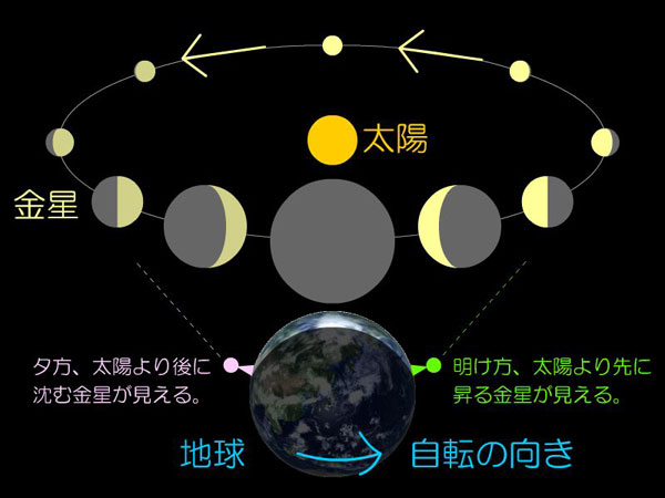金星の見え方の変わり方を説明する図。太陽、地球、金星の位置関係により、金星の形(欠け方)と見かけの大きさが変化する。