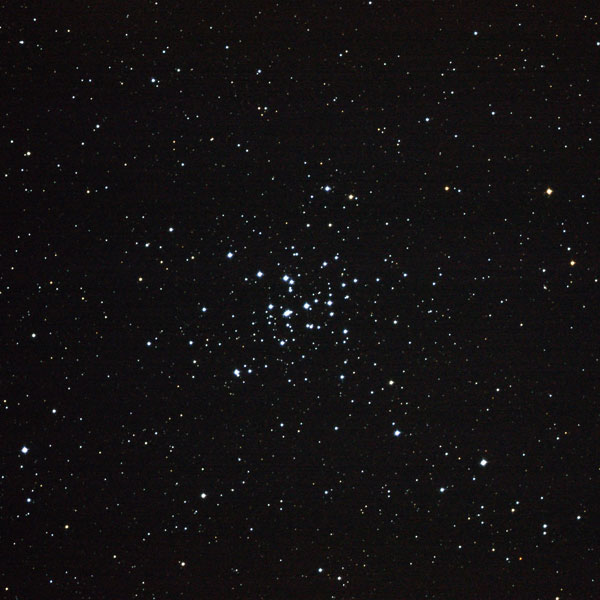 散開星団M36の写真