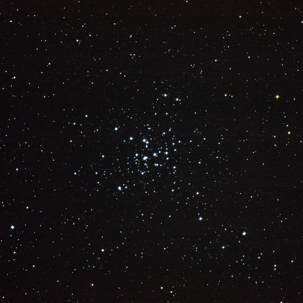 散開星団M36の写真