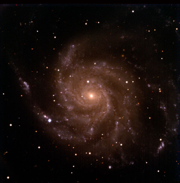 M101銀河と超新星 2023年5月24日撮影