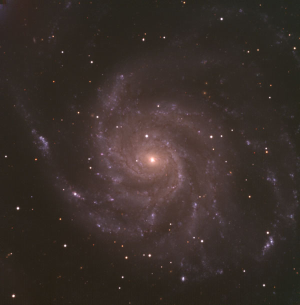 M101銀河 超新星出現前