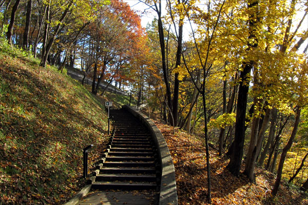 promenade (autumn)