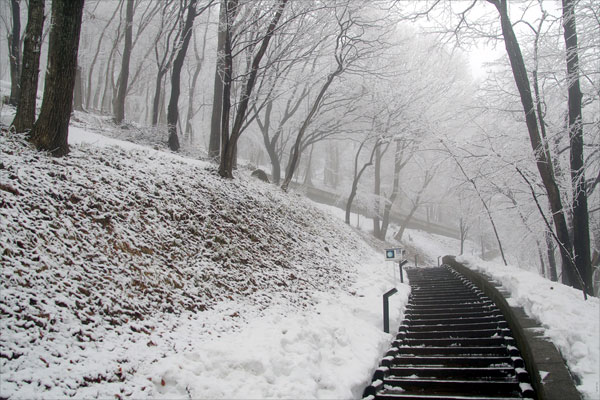 promenade (winter)