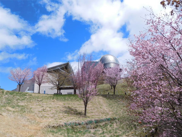 山桜と天文台