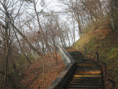 12月の遊歩道の写真