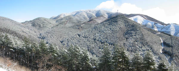 ���Ⴕ���q���R