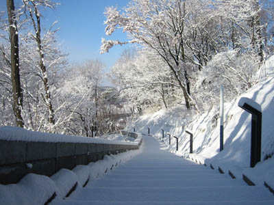 �ϐႵ���K�i