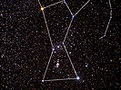 wNX