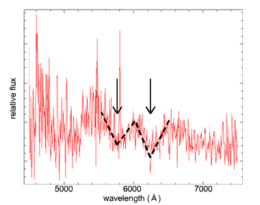 spectrum of SN 2006bb