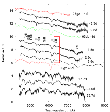 spectra of SN 2009dc