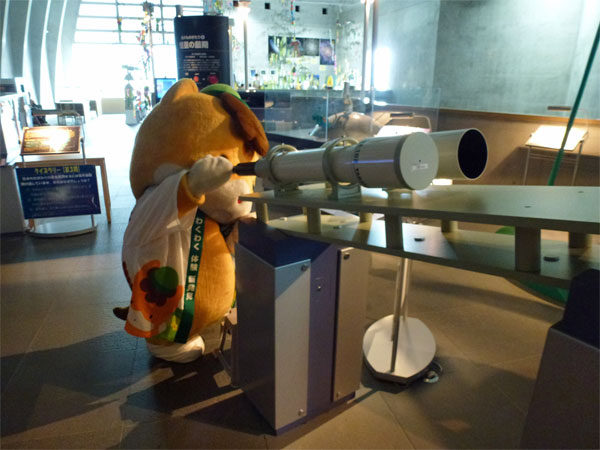 館内展示を見るぐんまちゃんの写真