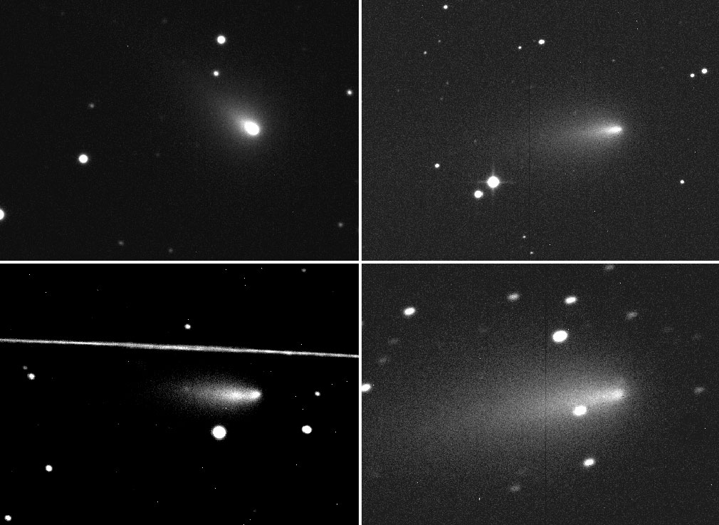 アトラス彗星の写真