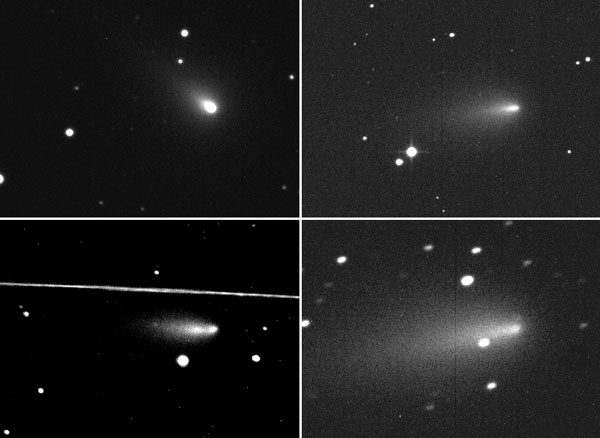 アトラス彗星 C/2019 Y4 の写真