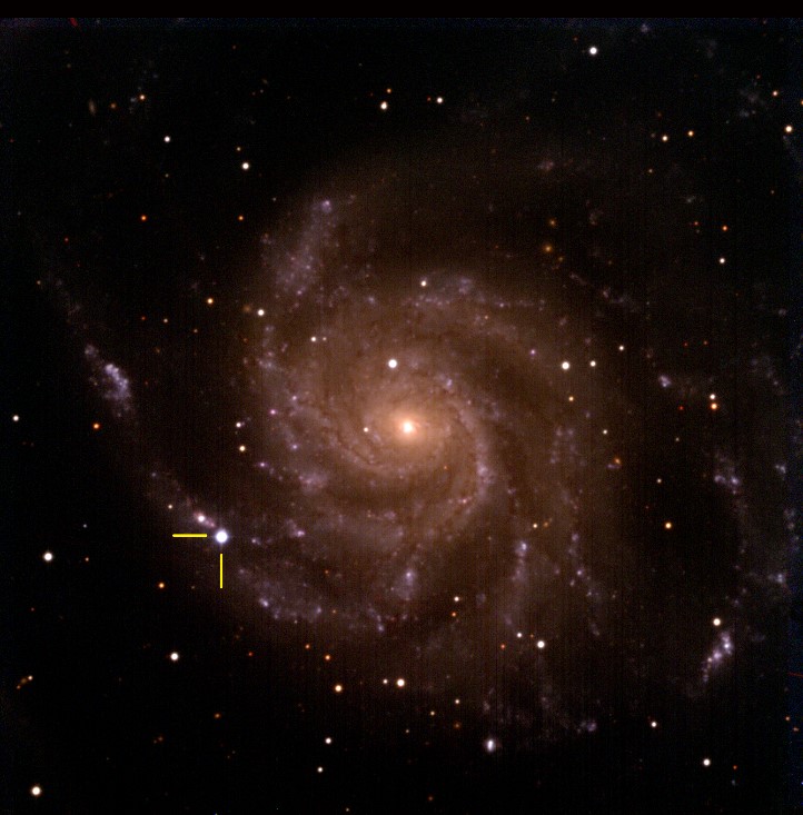 M 101銀河と超新星 2023年5月24日撮影